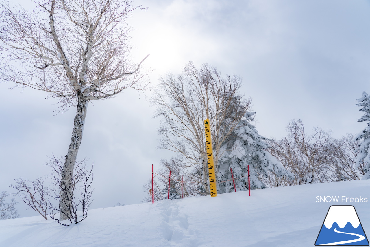 札幌国際スキー場｜３月の平日。粉雪コンディション、ゴンドラ＆リフト待ち無し、もちろん、ゲレンデも混雑無し。要するに、最高です(^_-)-☆